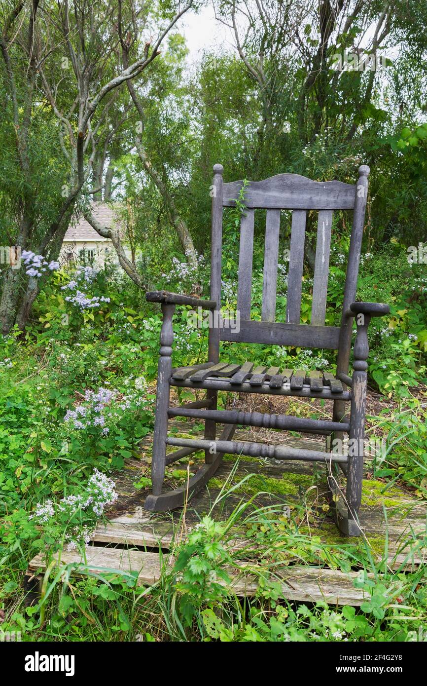 Old woodem high back rocking armchair  on raised platform bordered by Boltonia asteroides - False Chamomile or False Aster in backyard garden Stock Photo