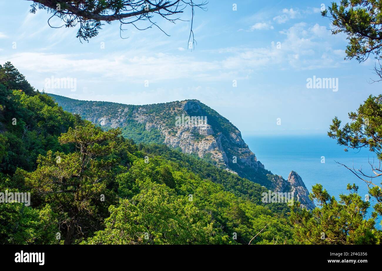 Green forest on rocks around a small bay on a sunny summer day Stock ...