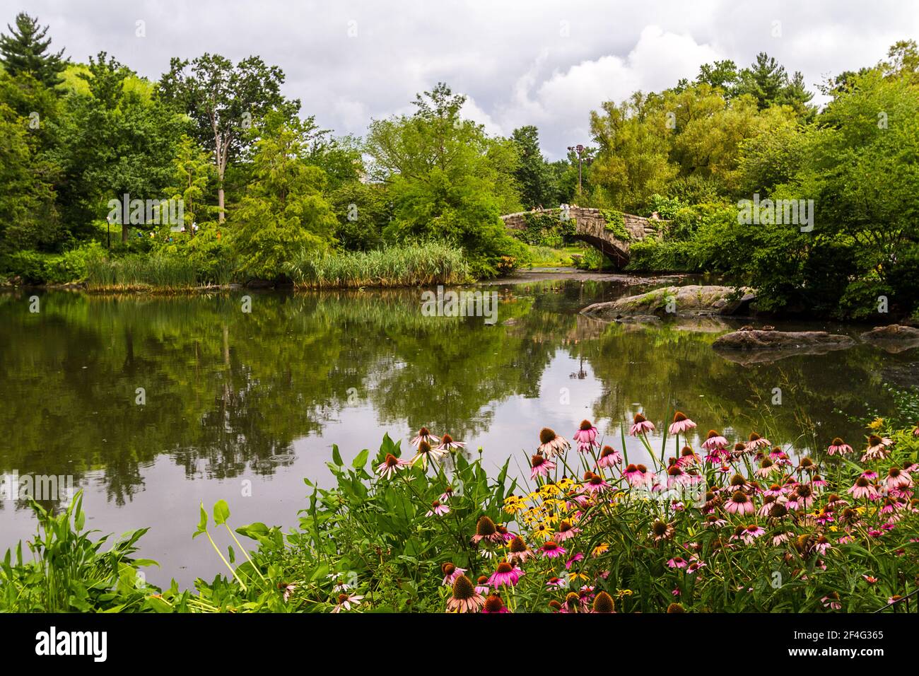 Colorful flowers by the pond near Gapstow Bridge in Central Park Stock Photo