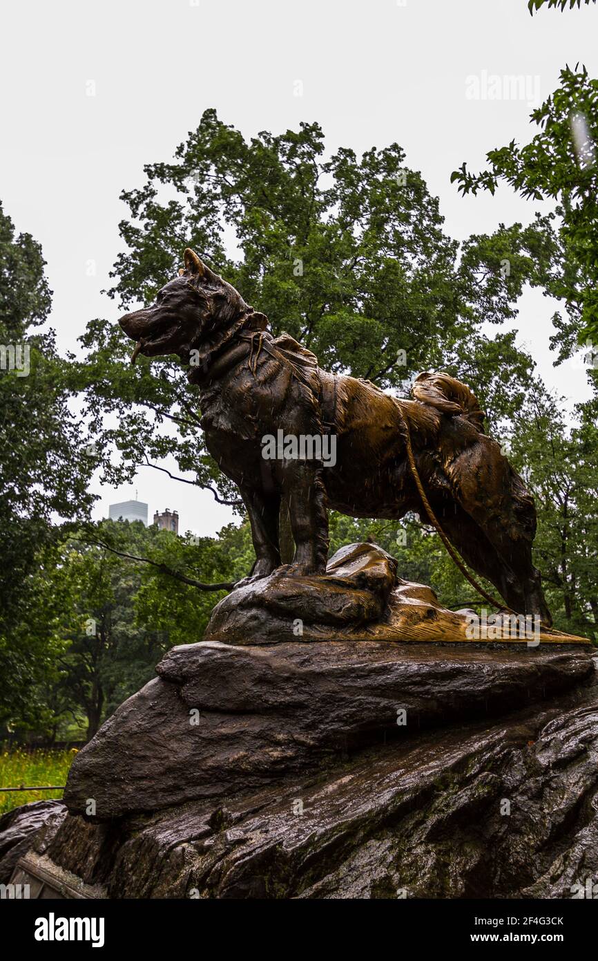 Vertical image of the statue of Balto in Central Park Stock Photo