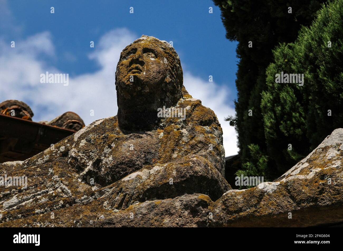 This lichen-encrusted face, staring up to the sky from the Giardini Comunale or public gardens at Tuscania, Lazio, Italy, is among many lifelike portrayals of citizens of ancient Etruscan Tuscana whose remains were interred, in stone sarcophagi, in vast necropoli or cemeteries in and around the settlement.  From the late-1800s, many of these effigies, sculpted on the lids of their tomb chests, were re-used as distinctive urban furniture and public art in the streets of Tuscania. Stock Photo
