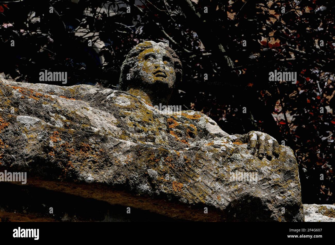 This lichen-encrusted face of an Etruscan citizen, looking up to the sky from the Giardini Comunale or public gardens at Tuscania, Lazio, Italy, is among many lifelike public portrayals of the people who lived in ancient Tuscana.  Their remains were interred in stone sarcophagi in vast necropoli or cemeteries in and around the settlement.  From the late-1800s, many of these effigies, sculpted on the lids of their tomb chests, were re-used as distinctive urban furniture and public art in the streets of Tuscania. Stock Photo