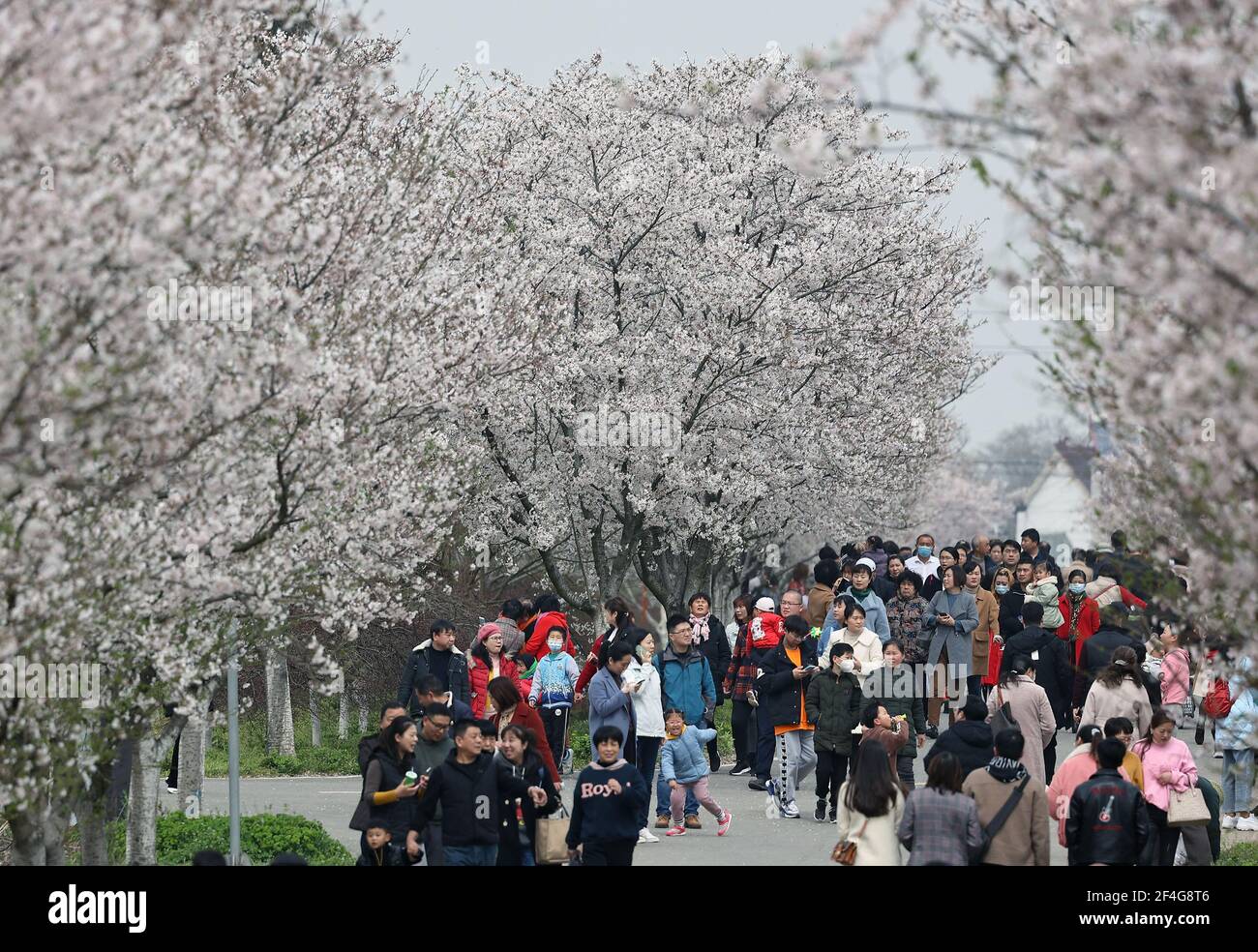 Zhenjiang, China's Jiangsu Province. 21st Mar, 2021. Tourists view ...