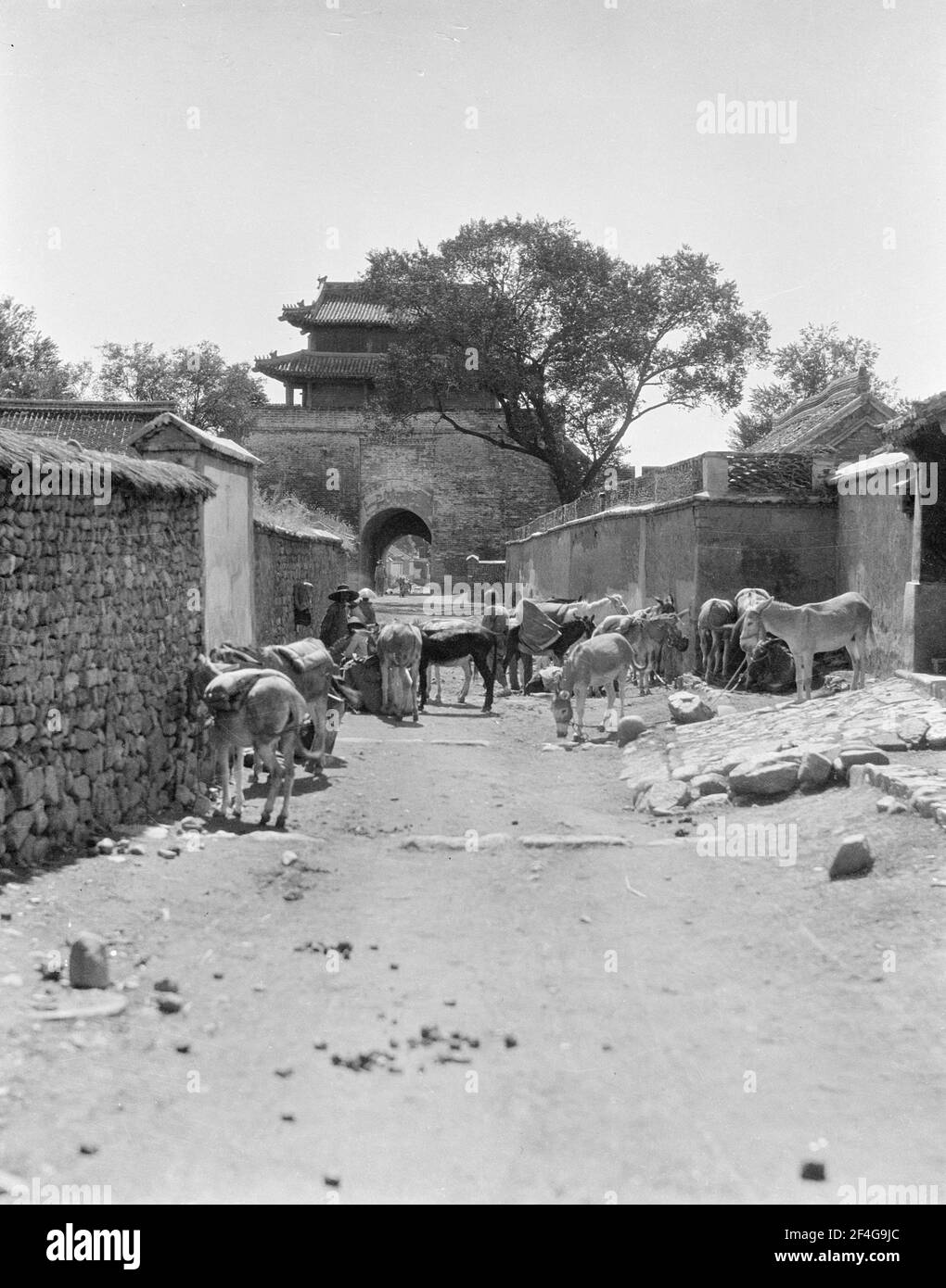 City Gate and Donkeys, China, Rehe Sheng (China), Hebei Sheng (China), 1924. From the Sidney D. Gamble photographs collection. () Stock Photo