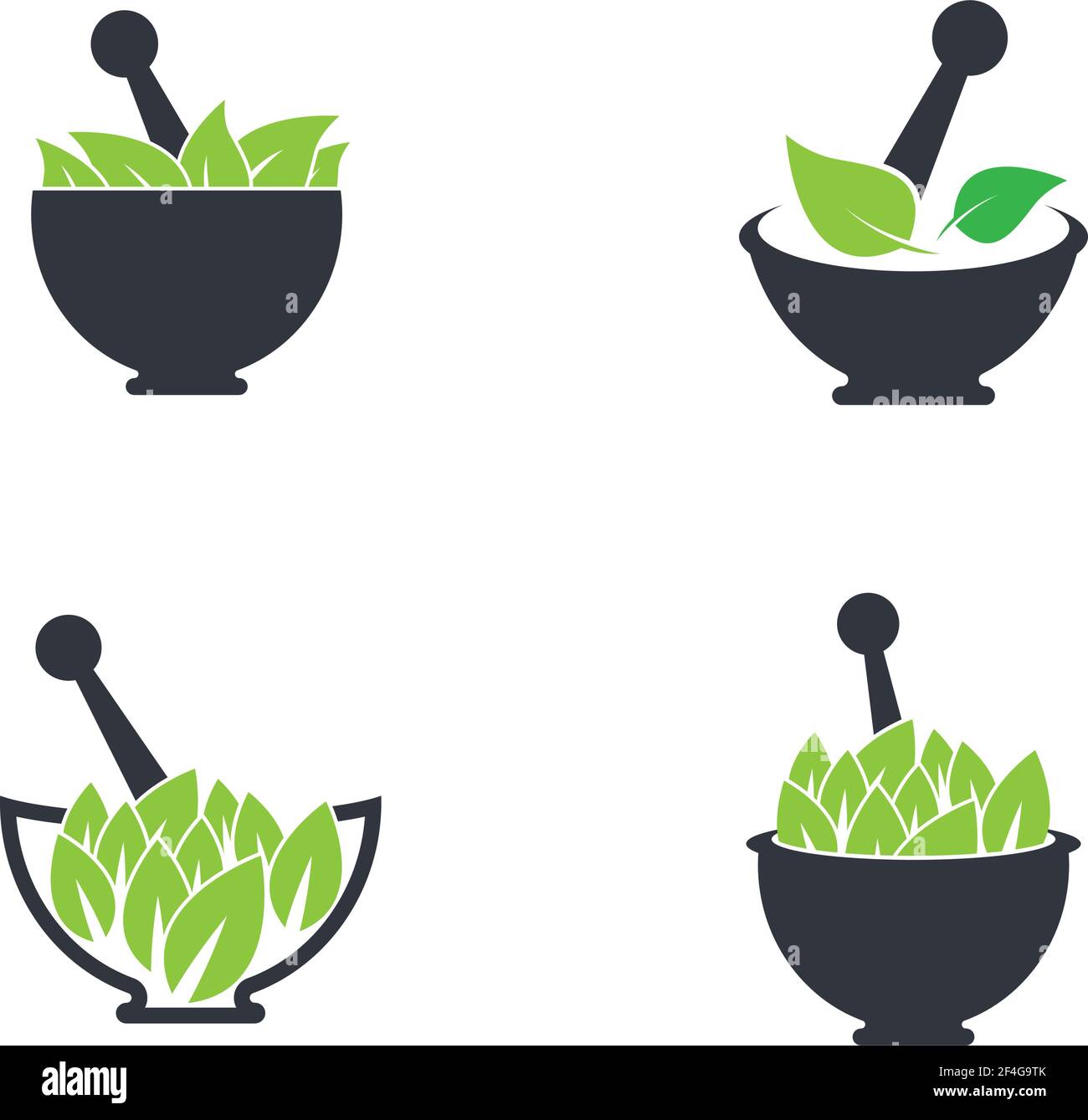 Herbal medicine logo template vector icon illustration Stock Vector ...