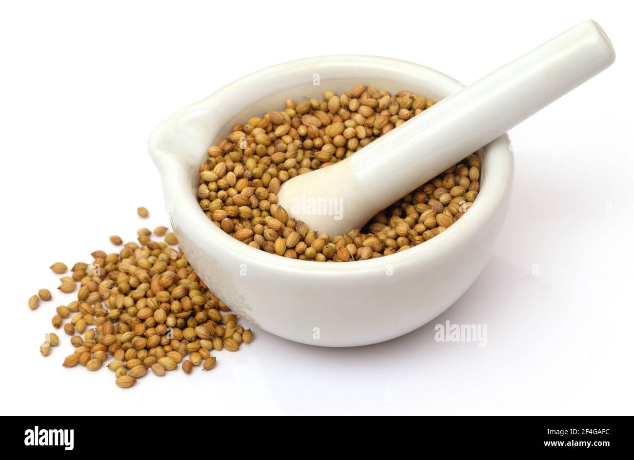 Whole coriander in a mortar with pestle Stock Photo