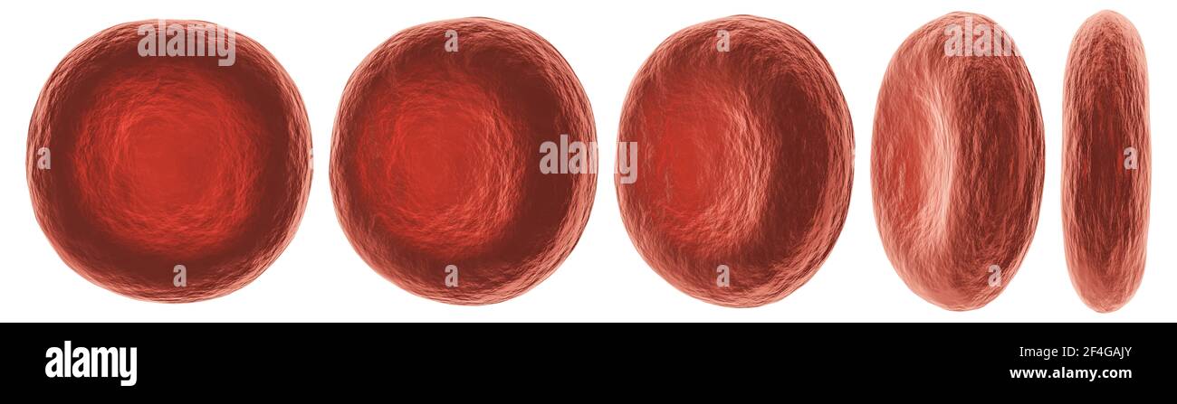 Red blood cells with different view . High detailed surface texture . White isolated background . 3D rendering . Stock Photo