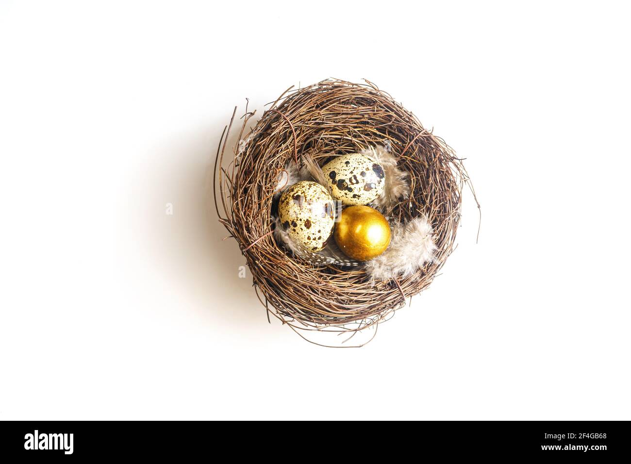Golden eggs in a birds nest on a whight background Stock Photo