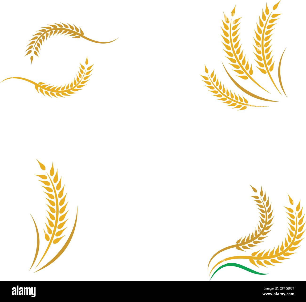 Wheat vector icon illustration design Stock Vector