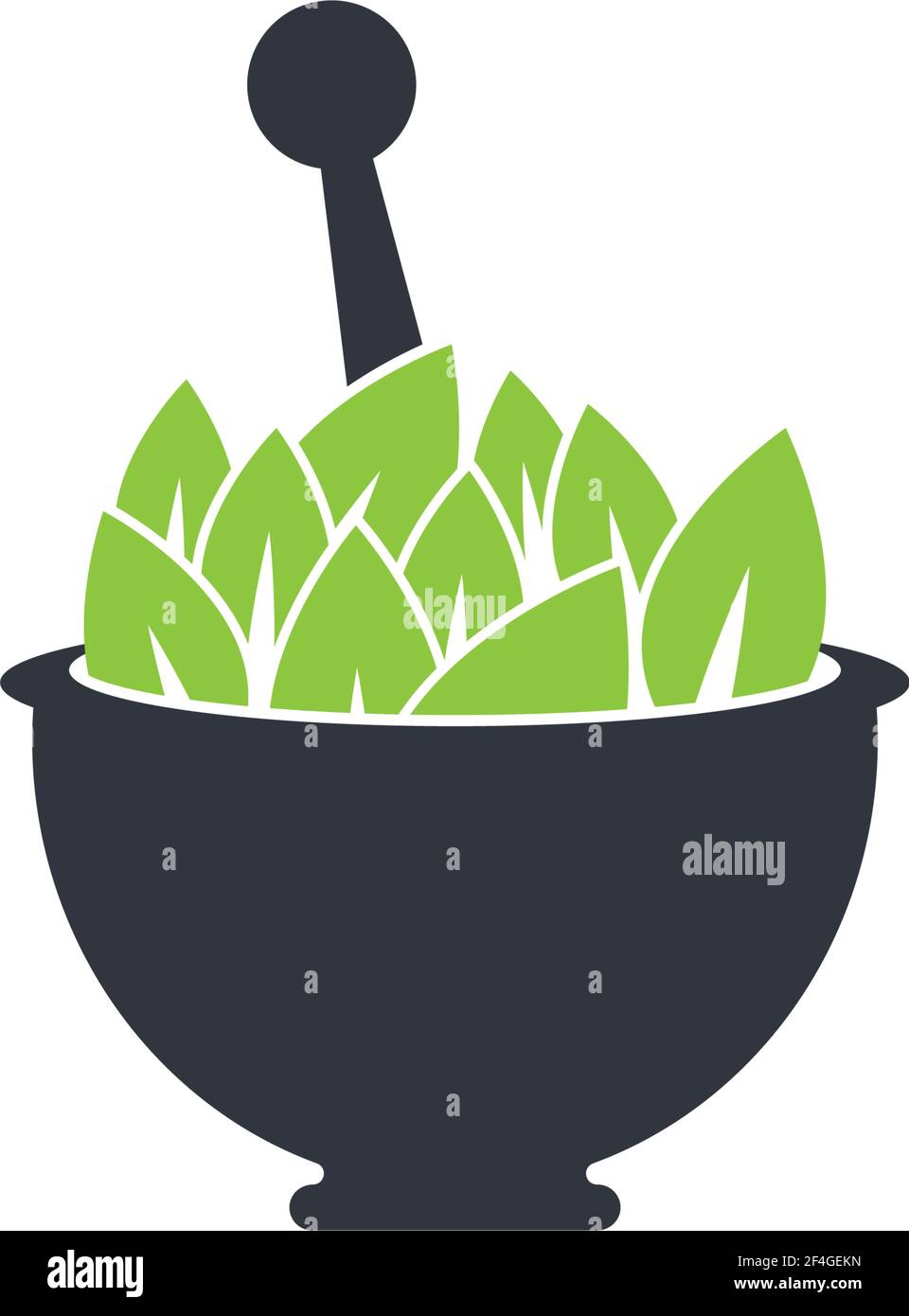 Herbal medicine logo template vector icon illustration Stock Vector ...