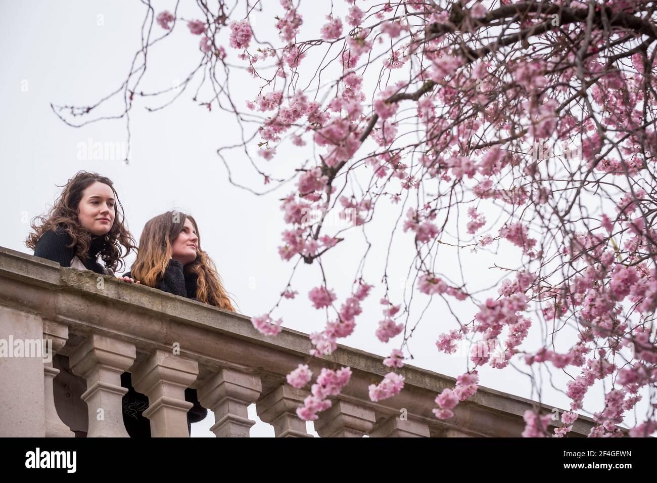 London, UK.  21 March 2021. UK Weather – Women admire the blossom flowering in St James’s Park on the first weekend of Spring following the vernal equinox. From now on, the northern hemisphere will experience longer days and warmer temperatures.  Credit: Stephen Chung / Alamy Live News Stock Photo