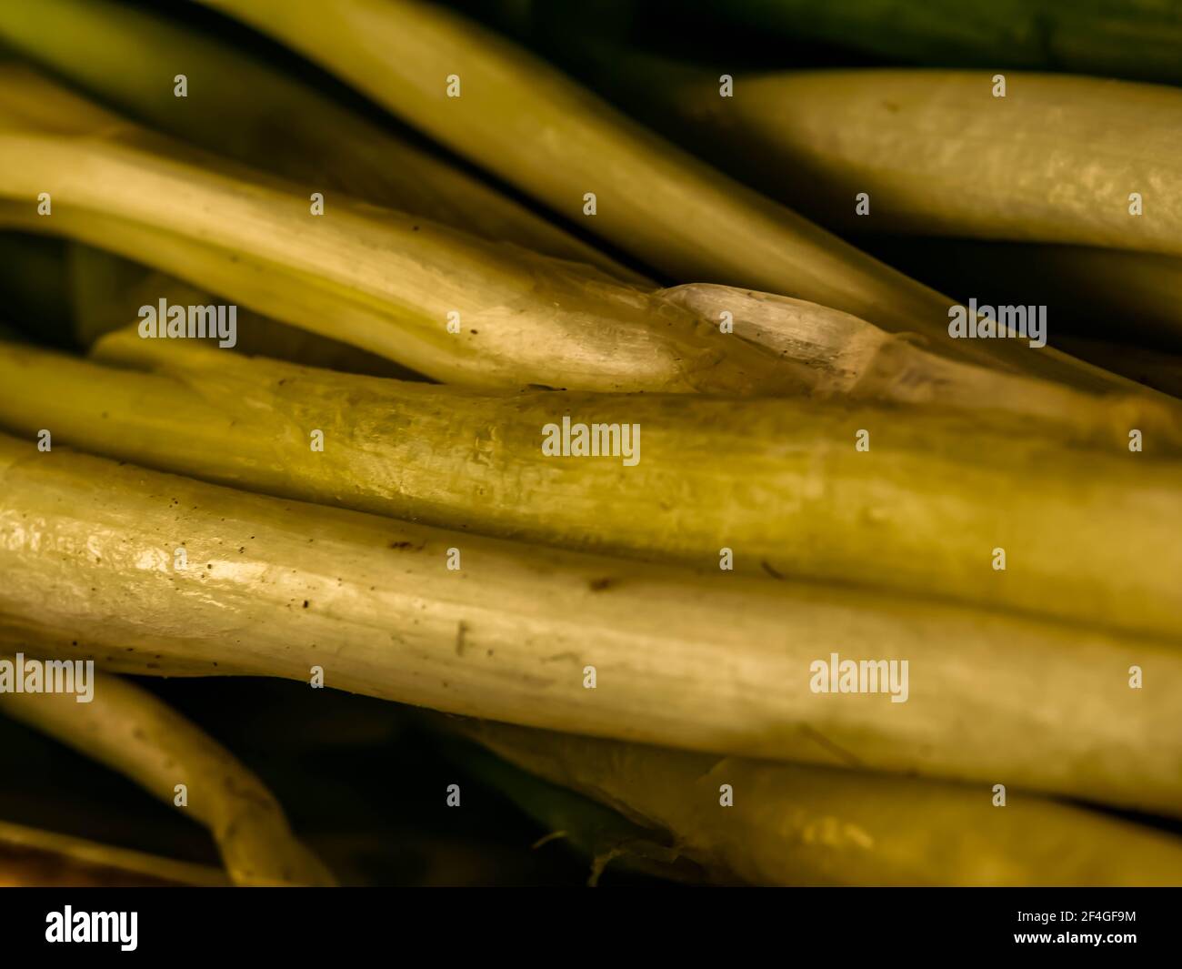 green onion with chives on display Stock Photo Alamy