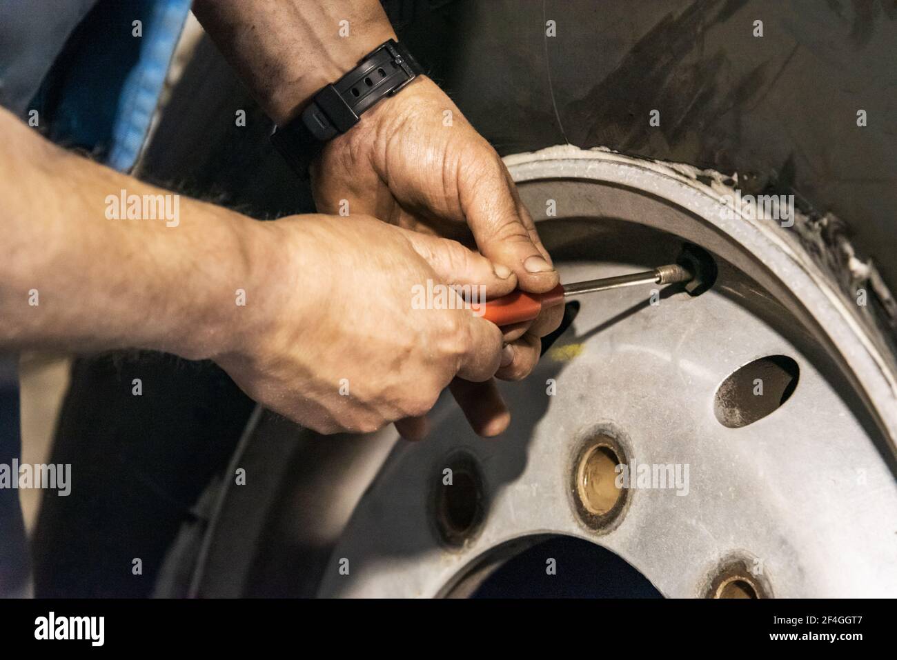 Tire workshop operator placing valve on wheel. Stock Photo