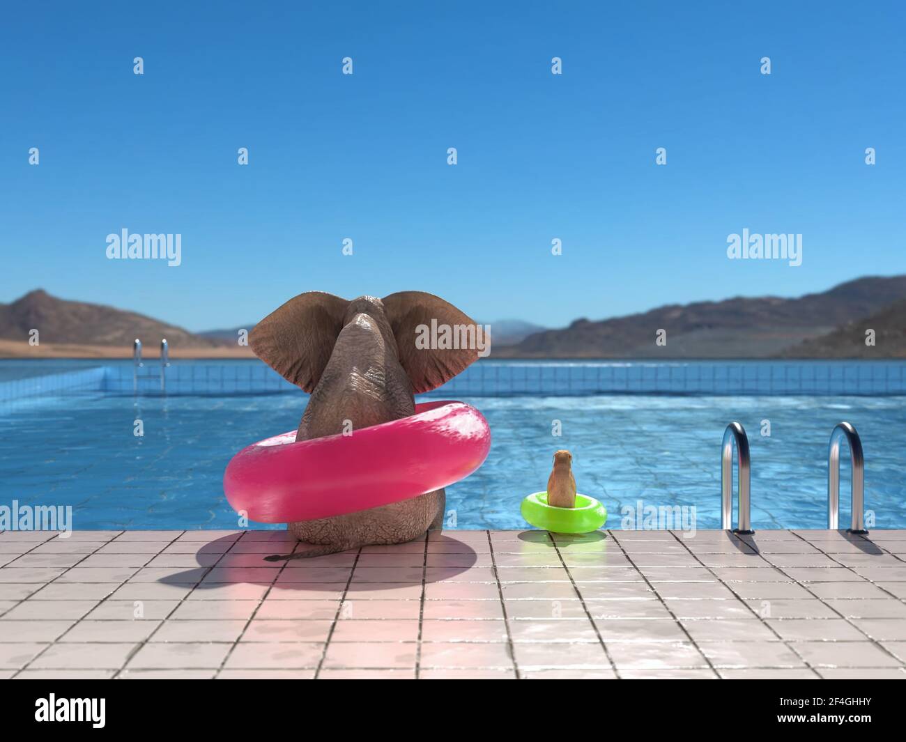 elephant and dog sit on the edge of the pool Stock Photo