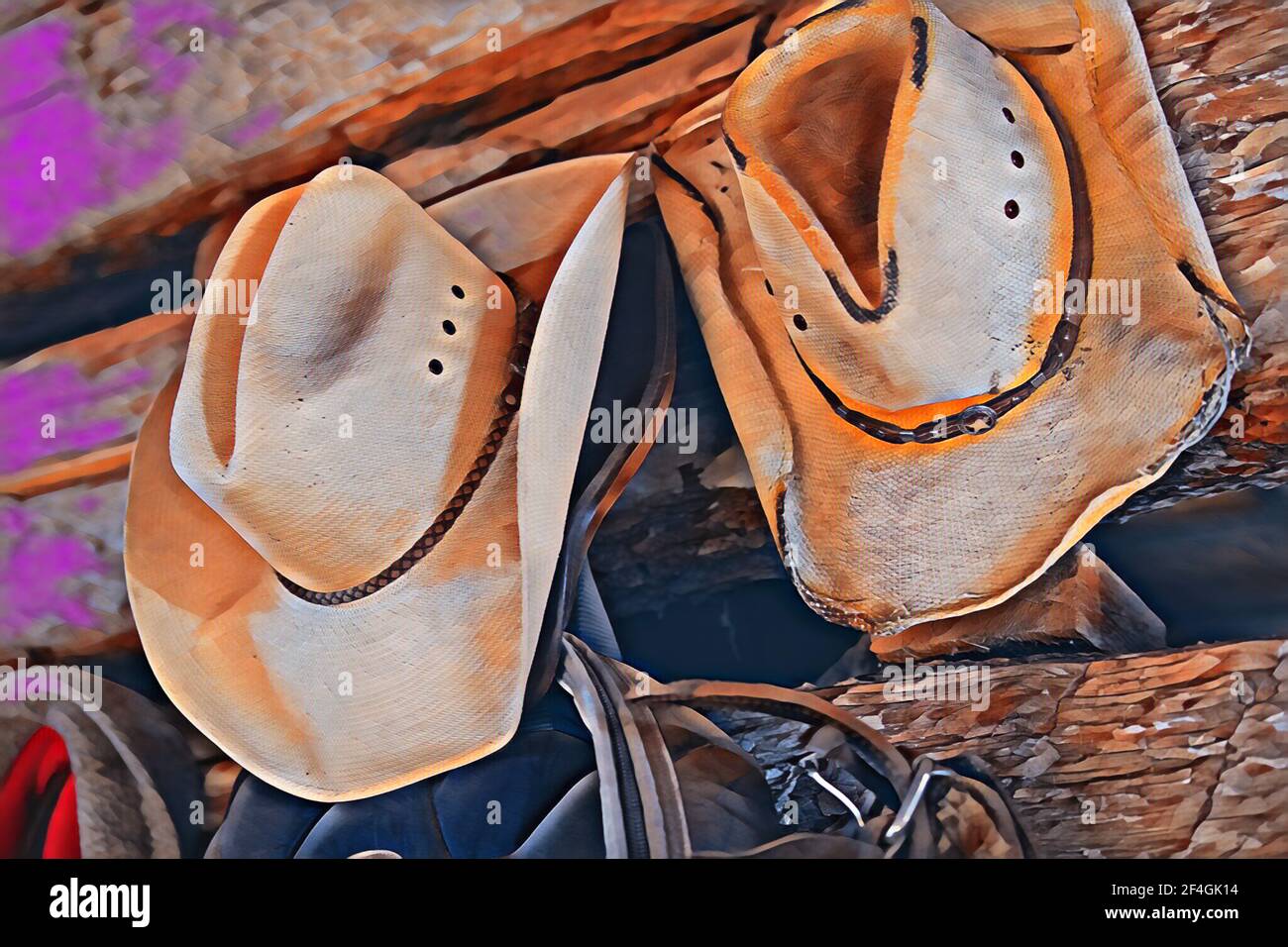 Pink cowboy hat hires stock photography and images Alamy