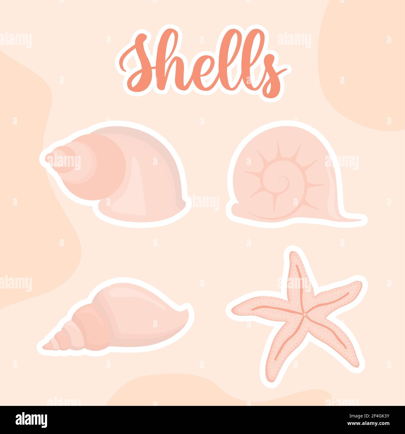 four seashell icons Stock Vector Image & Art - Alamy
