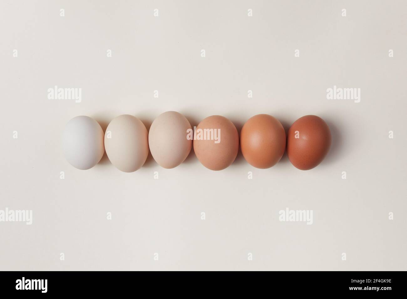 Natural colored gradient easter eggs line. Minimal Easter concept Stock ...