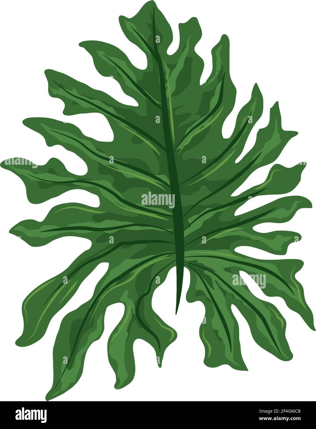 tropical exotic palm icon isolated Stock Vector Image & Art - Alamy
