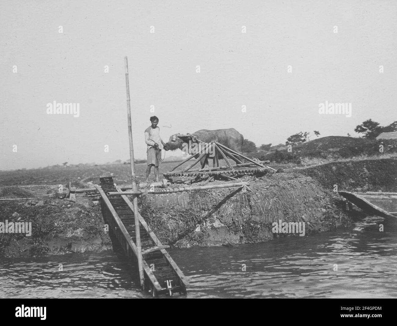 BOW Water Buffalo Irrigation System China, China, Grand Canal (China), 1908. From the Sidney D. Gamble photographs collection. () Stock Photo