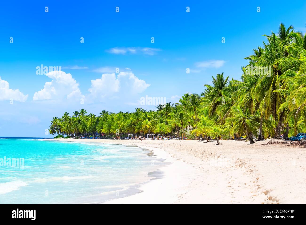 Top 10 Best Places in Dominican Republic for 2026 Travelers