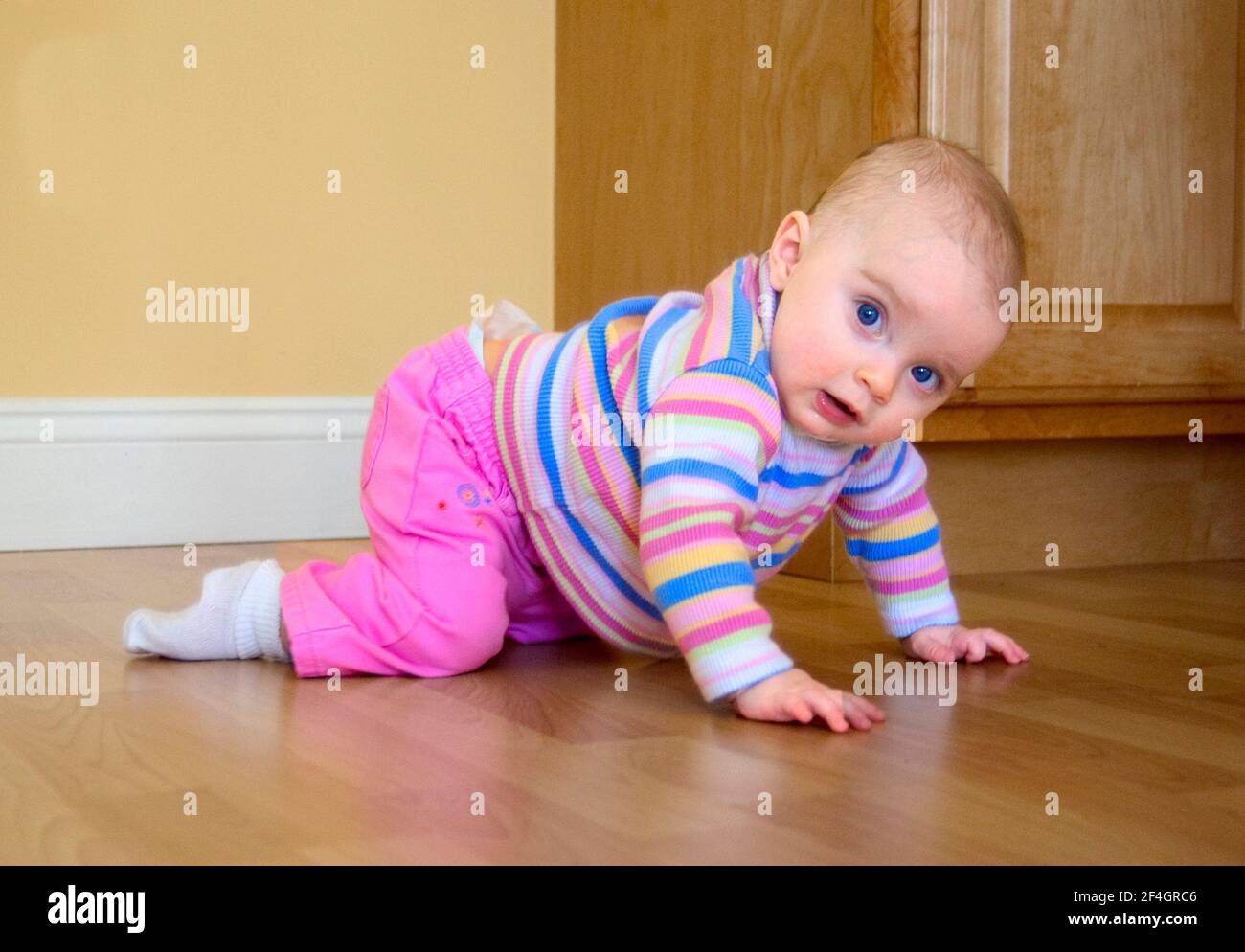 7 Month Old Baby Girl Learns to Crawl Stock Photo