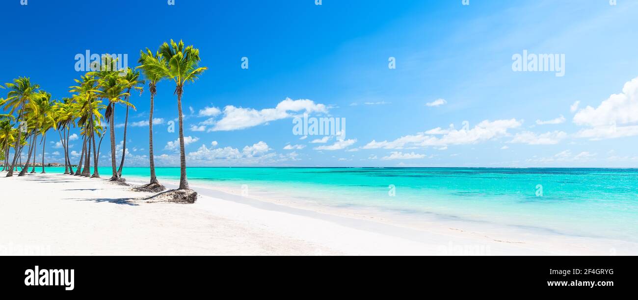 Panorama of white sandy beach with coconut palm trees in Punta Cana, Dominican Republic. Summer holiday concept. Tropical beach background. Stock Photo