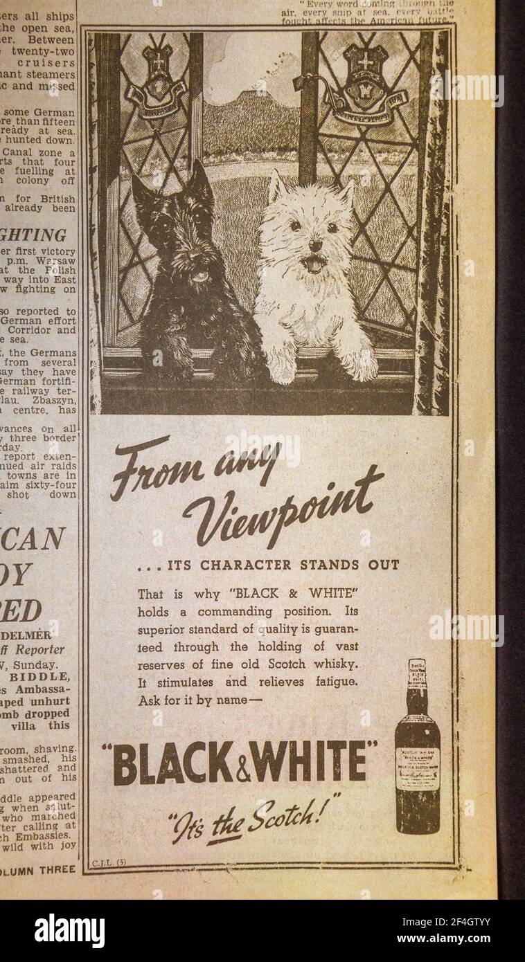 Advert for Black & White Scotch Whisky in The Daily Express (replica), 4th September 1939, the day after World War II was declared. Stock Photo