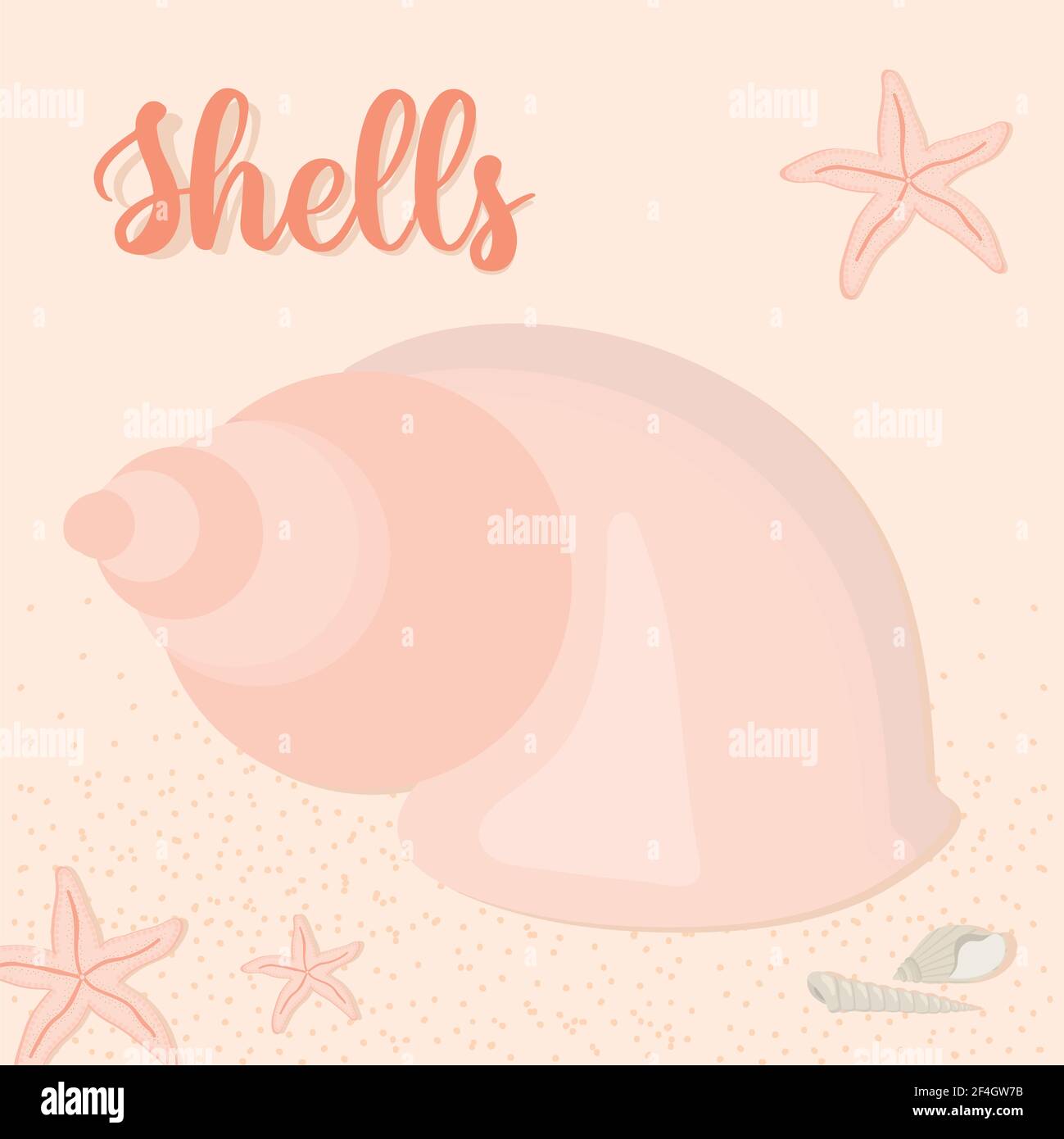 seashell and starfishes Stock Vector Image & Art - Alamy
