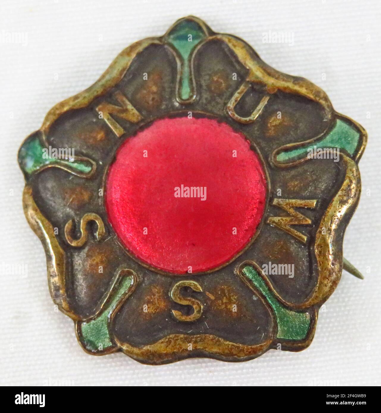 Red, green, and gold, enamel and metal pin or badge, with a stylized rose and the acronym 'NUWSS, ' issued by the National Union of Women Suffrage Societies (NUWSS), for the British market, 1900. Photography by Emilia van Beugen. () Stock Photo