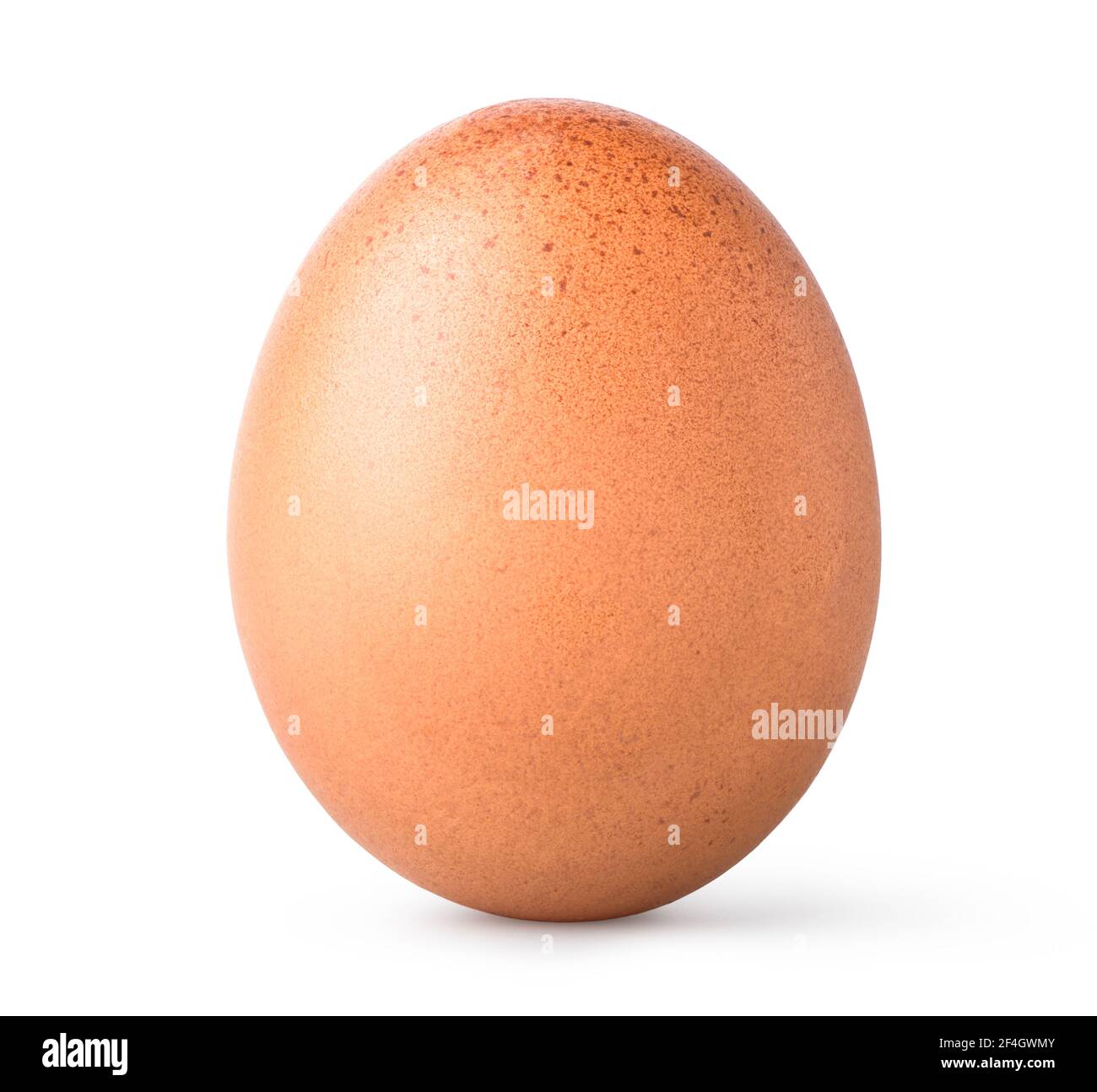One brown egg isolated on a white background Stock Photo - Alamy