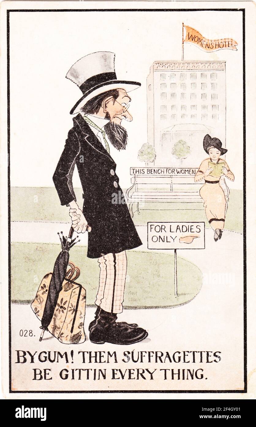 Carpetbagger Cartoon