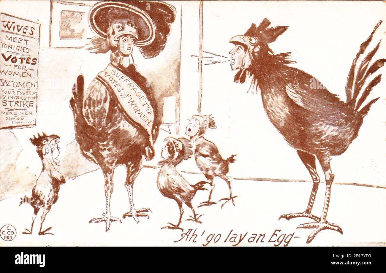 Postcard depicting an anthropomorphic chicken family, possibly inspired by Edmond Rostand's play Chanticleer, the hen wears a 'Suffragette Votes for Women' sash and the rooster shouts 'Ah' go lay an Egg, ' published by CC Company, 1910. Photography by Emilia van Beugen. () Stock Photo