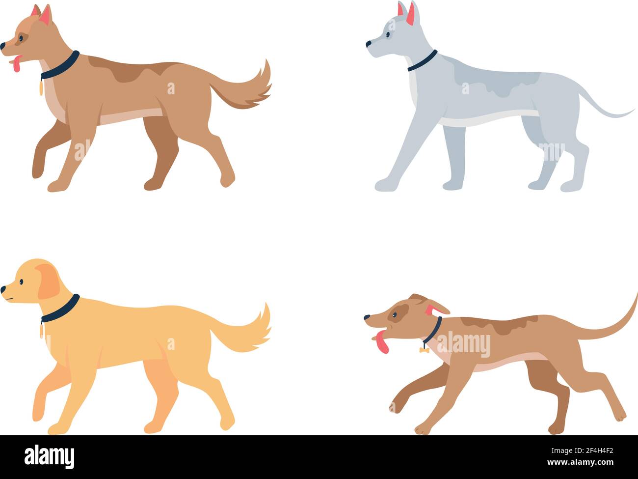 Various dog breeds flat color vector detailed character set Stock Vector