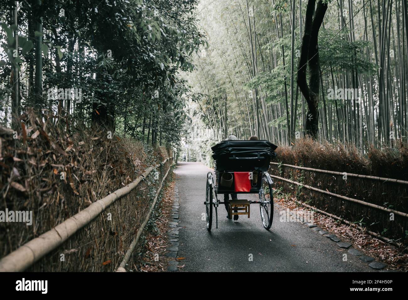 Japanese rickshaw with bamboo forest at kyoto Japan Stock Photo - Alamy