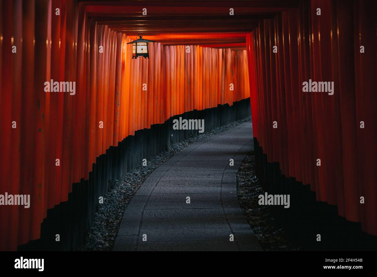 Pathway torii gates at Fushimi Inari Shrine at night and rain Kyoto ...