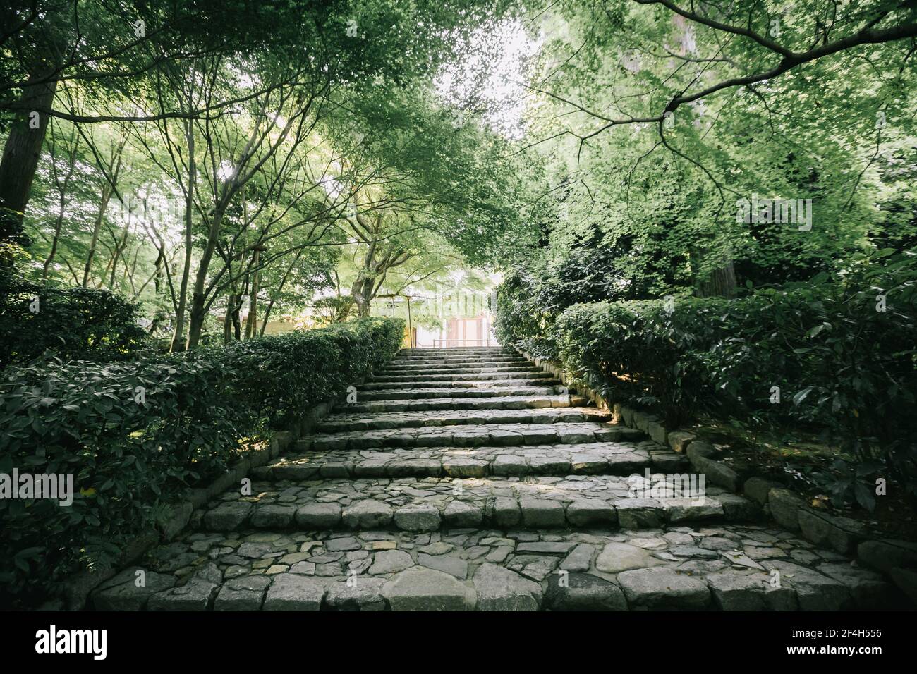 Japanese garden walkway with tree leaves film vintage style Stock Photo