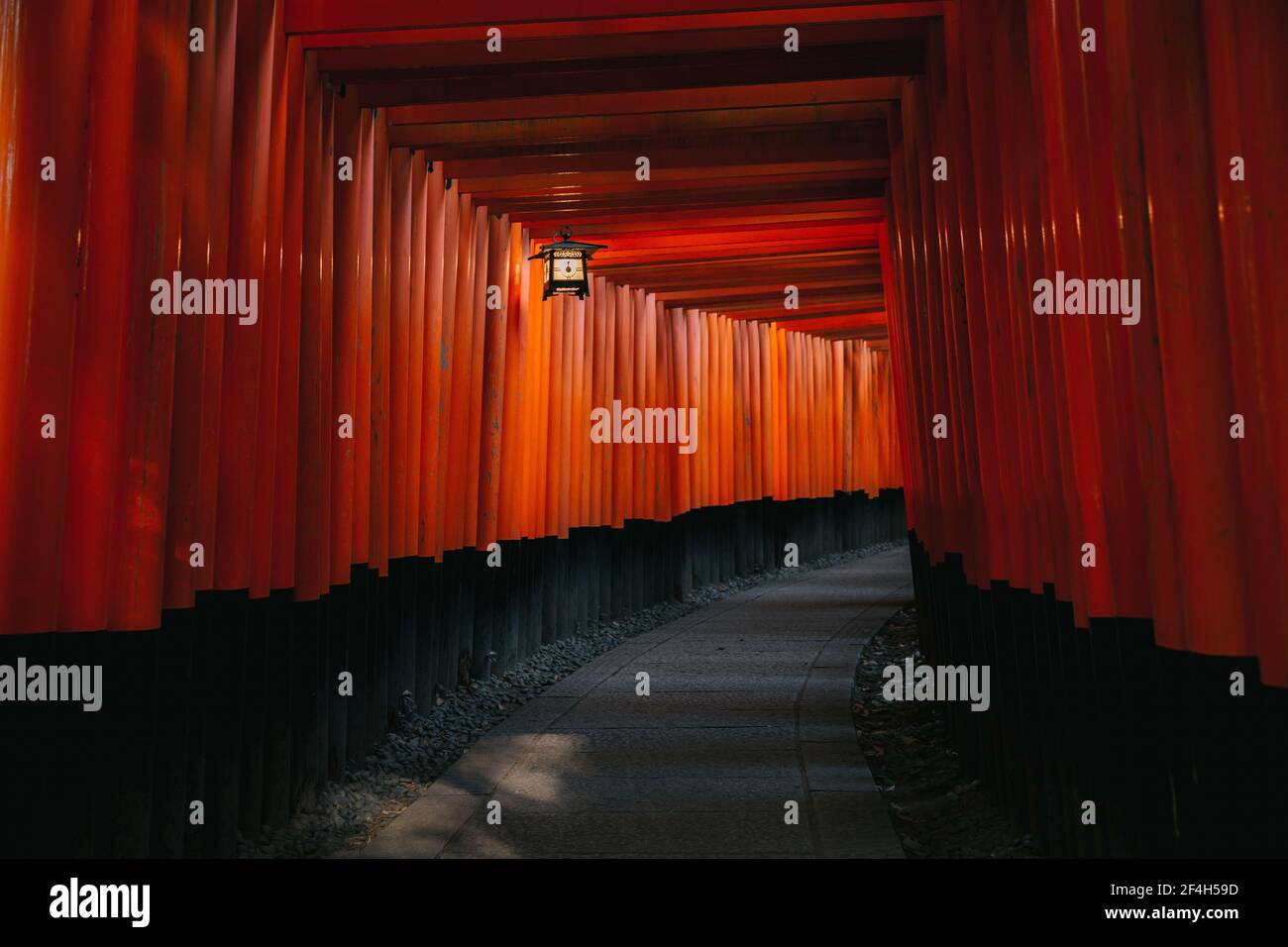 Pathway torii gates at Fushimi Inari Shrine at night and rain Kyoto ...