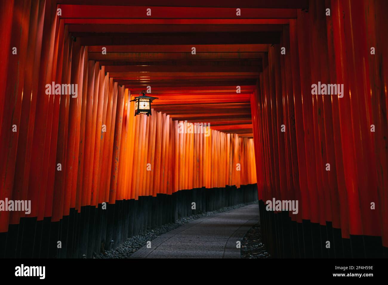 Pathway torii gates at Fushimi Inari Shrine at night and rain Kyoto ...