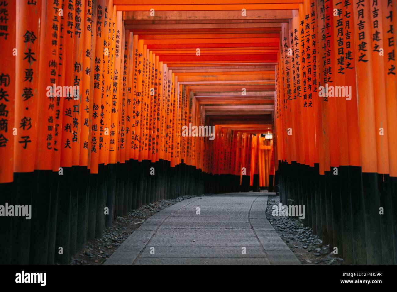 Pathway torii gates at Fushimi Inari Shrine at night and rain Kyoto ...