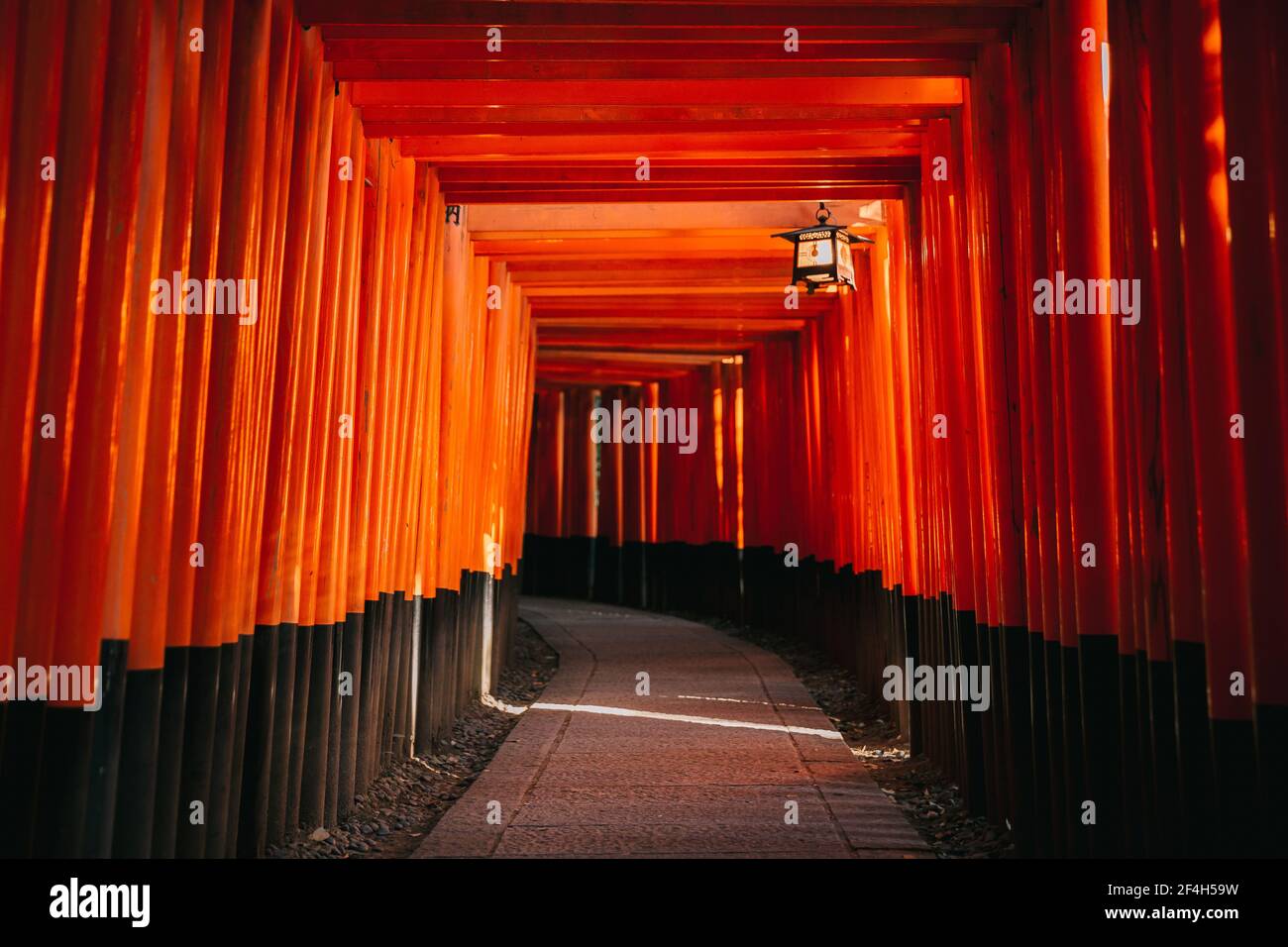 Pathway torii gates at Fushimi Inari Shrine at night and rain Kyoto ...