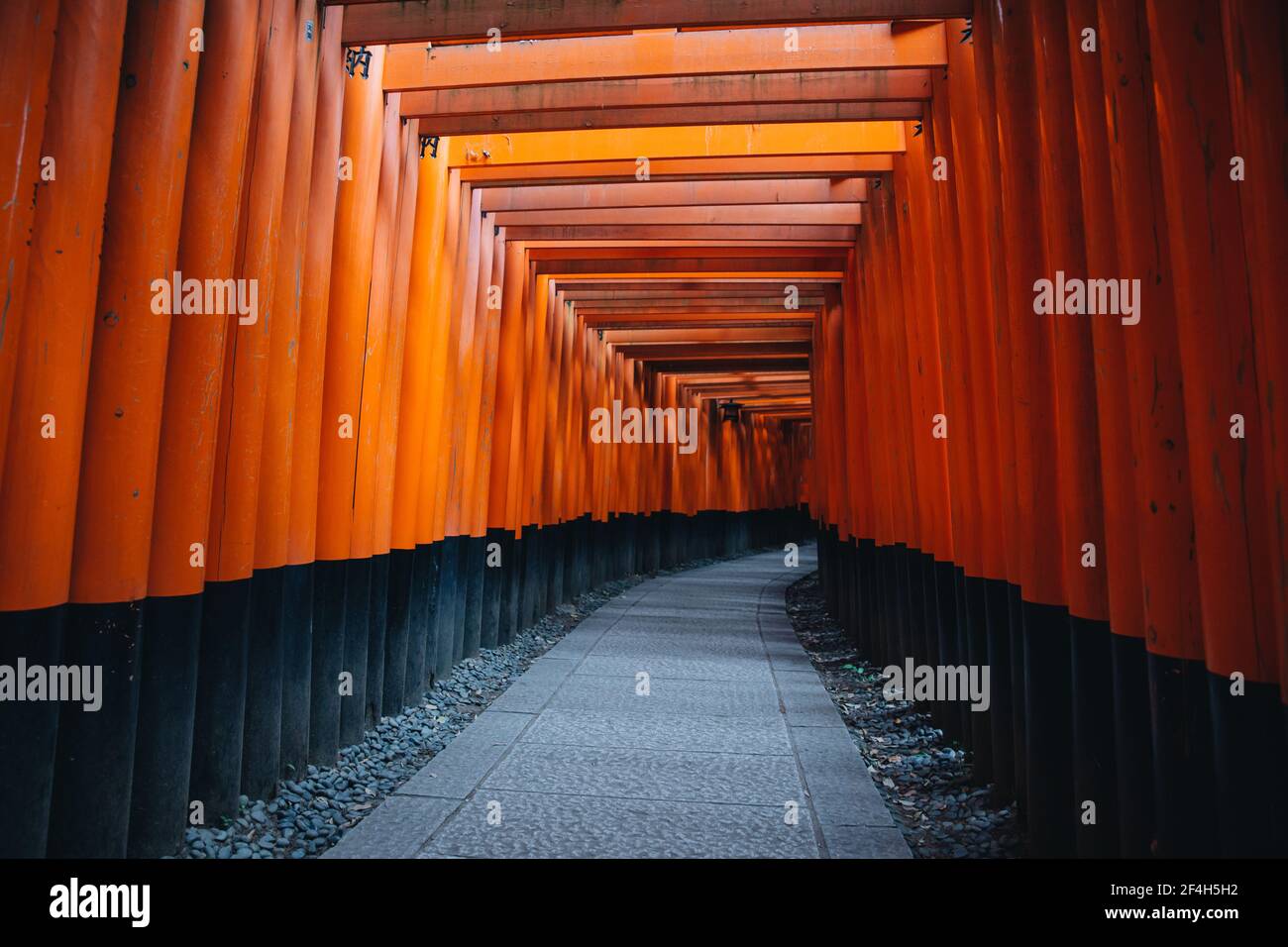 Pathway torii gates at Fushimi Inari Shrine at night and rain Kyoto ...