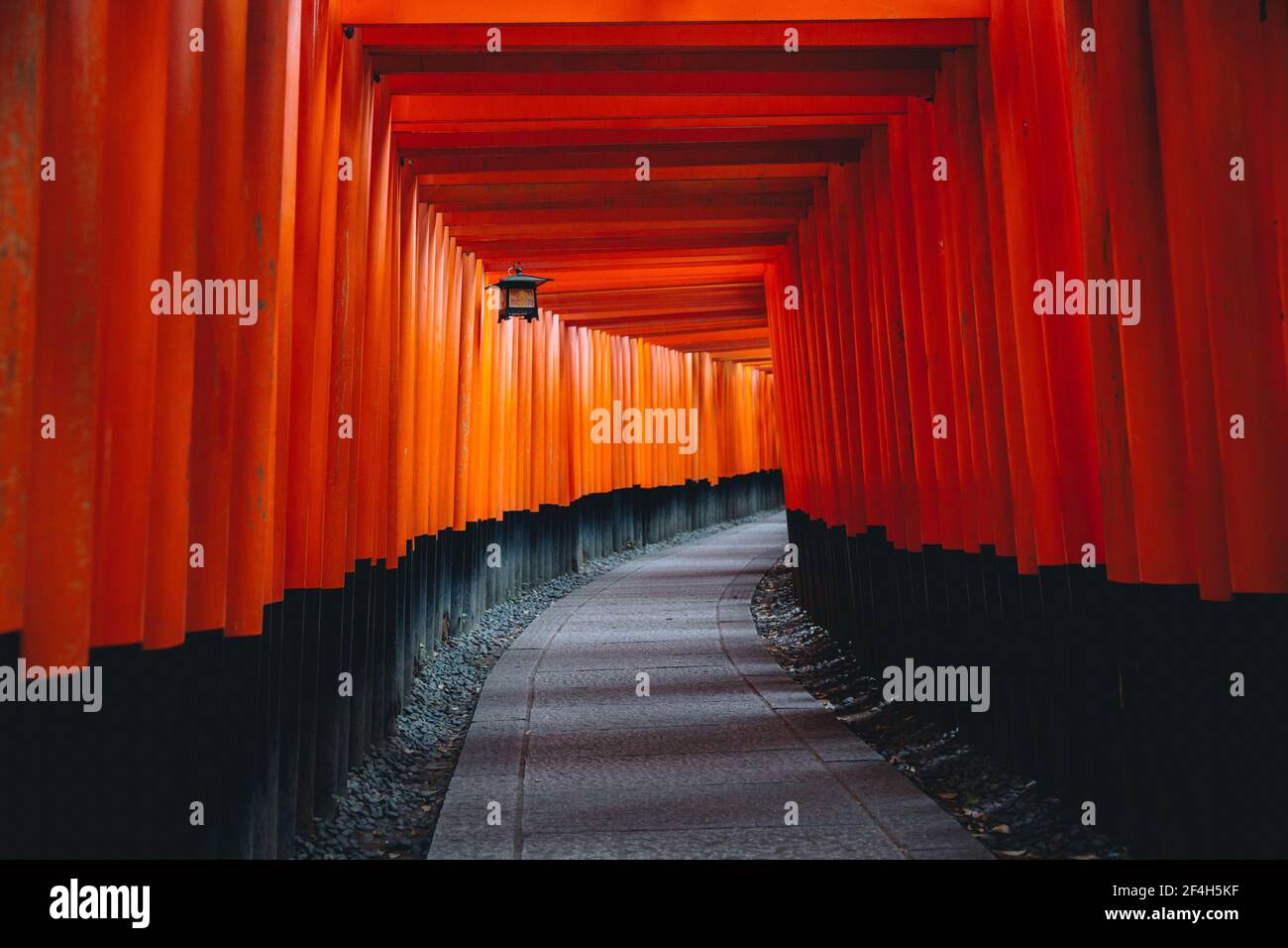 Pathway torii gates at Fushimi Inari Shrine at night and rain Kyoto ...
