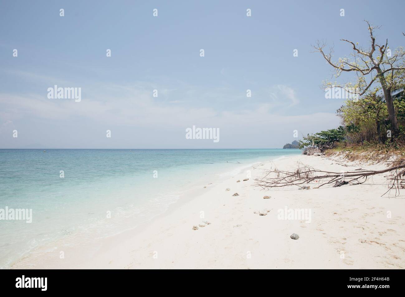 Sea and beach in blue sky background Stock Photo - Alamy