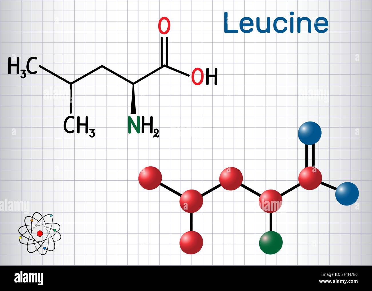 Leucine ( L leucine, Leu, L) molecule. It is essential amino acid