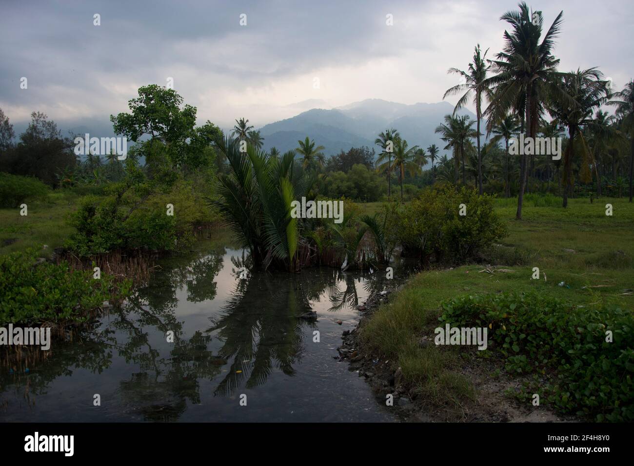 Feuchtgebiet am Karang Rata Strand im Norden Balis Stock Photo