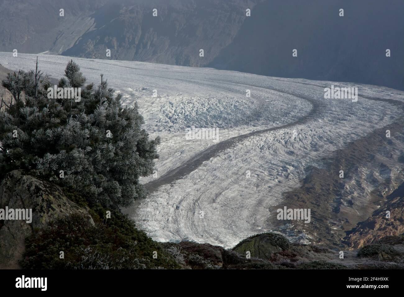 Eindrücke aus dem Unesco-Welterbe Aletsch, grosses Schutzgebiet um den grössten Gletscher der Alpen Stock Photo