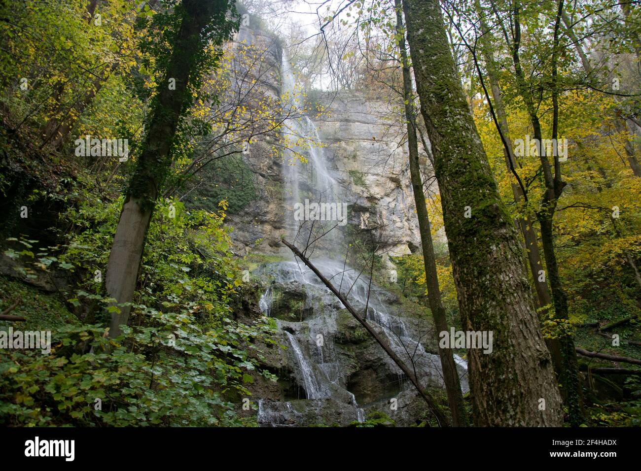 Der Wasserfall Wasserflue bei Wenslingen im Kanton Baselland Stock Photo