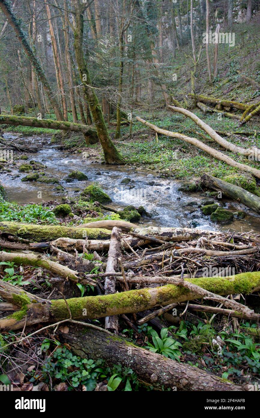 Das wilde Chasteltal in der Region Basel Stock Photo