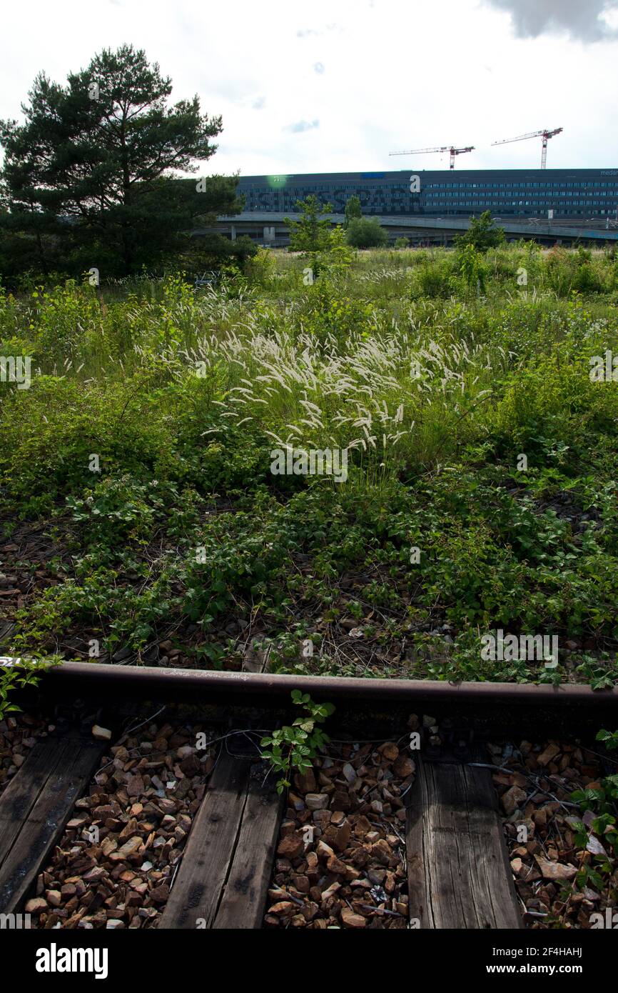 Das Naturschutzgebiet beim Basler DB-Areal, einer der grössten Schweizer Hotspots der Biodiversität, das einem Containerterminal weichen soll Stock Photo