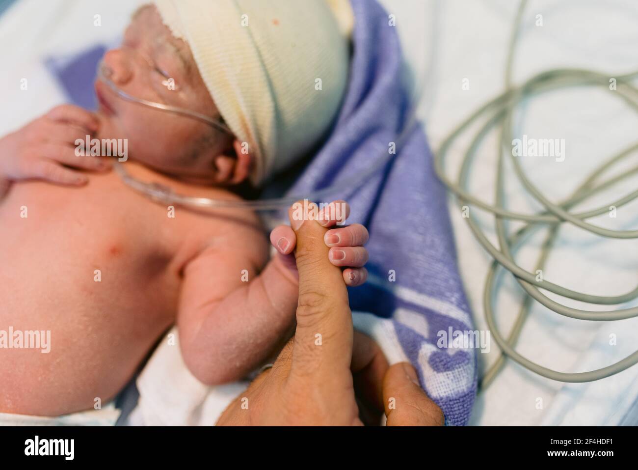 Tiny newborn child with breathing tube holding finger of unrecognizable mom  while sleeping in incubator in hospital Stock Photo - Alamy